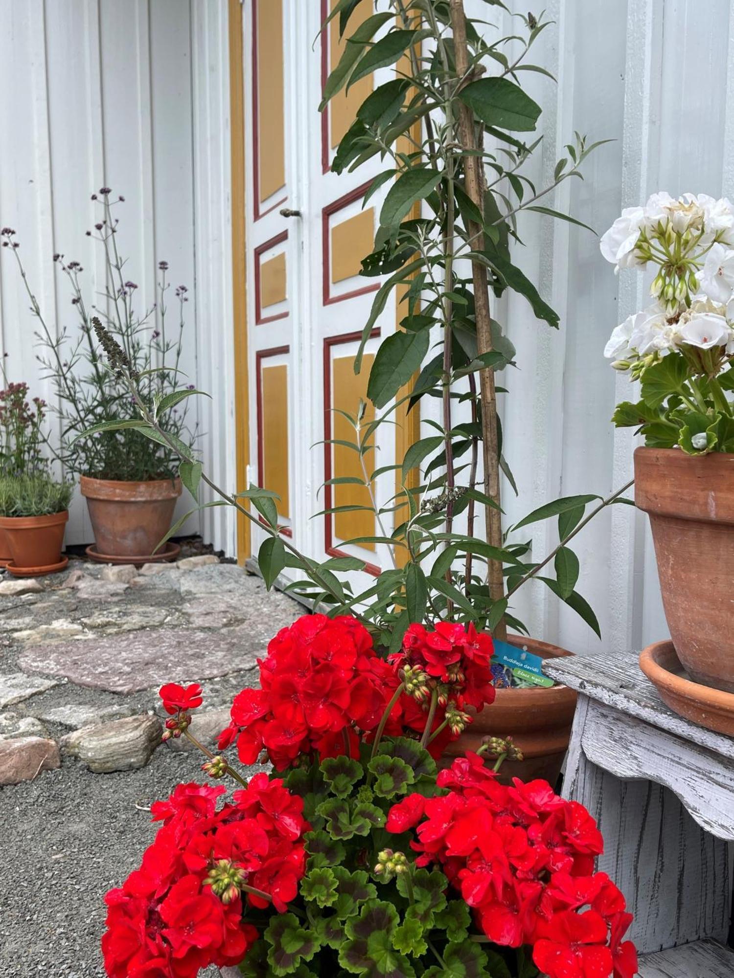 Gardsfrun B&B Lottorp Luaran gambar